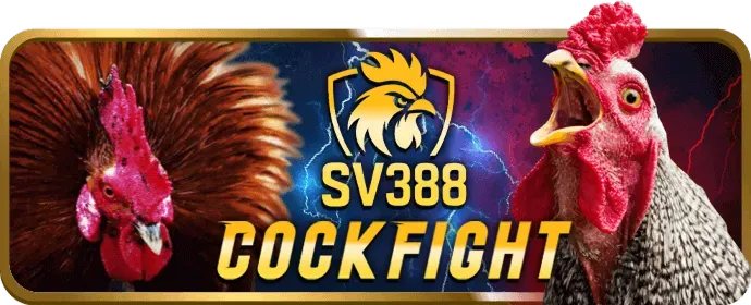Thưởng sinh nhật đặc biệt jun880